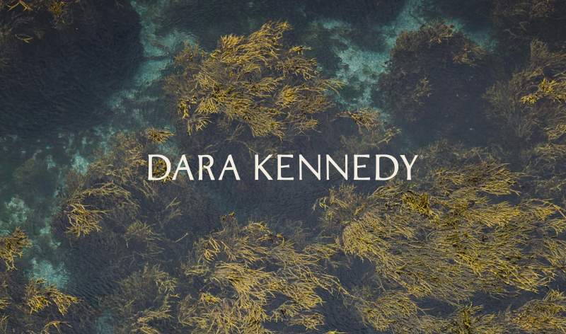 Office Dara Kennedy Logo 2