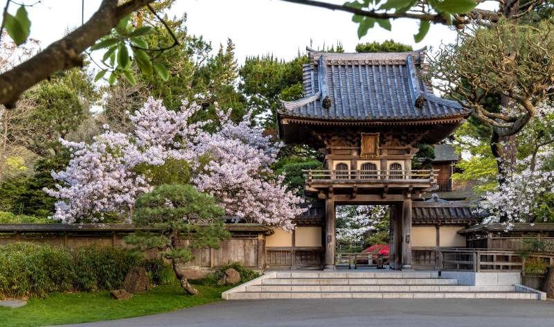 Office Gardensof Golden Gate Park Japanese Tea Garden Photo