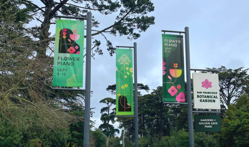 Office Gardensof Golden Gate Park SF Botanical Garden Flower Piano Banners