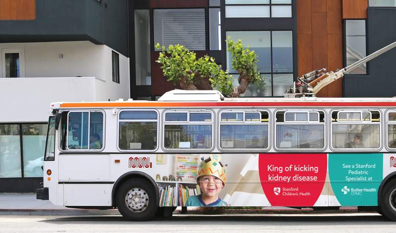 Office Stanford Childrens Health Bus